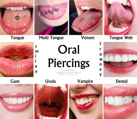 piercing en el pene|Penis Piercing: 13 Types, Sexual Benefits, Pain, Aftercare ...